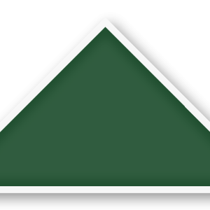 Foulard scout Vert Sapin Biais Blanc