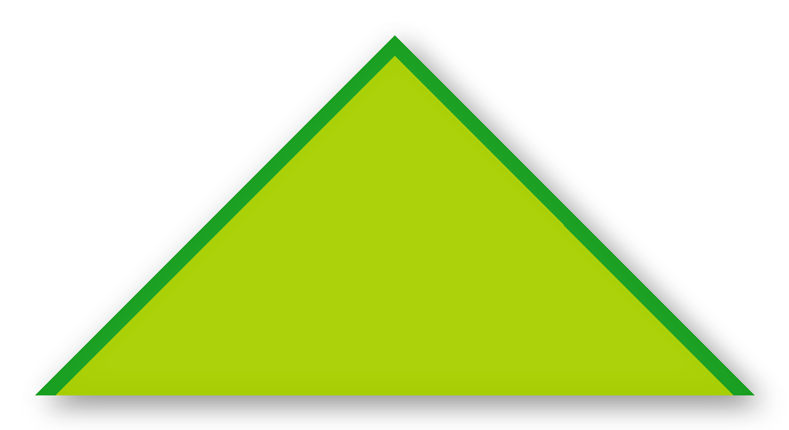 Foulard scout Anis CC33 Biais Vert Prairie
