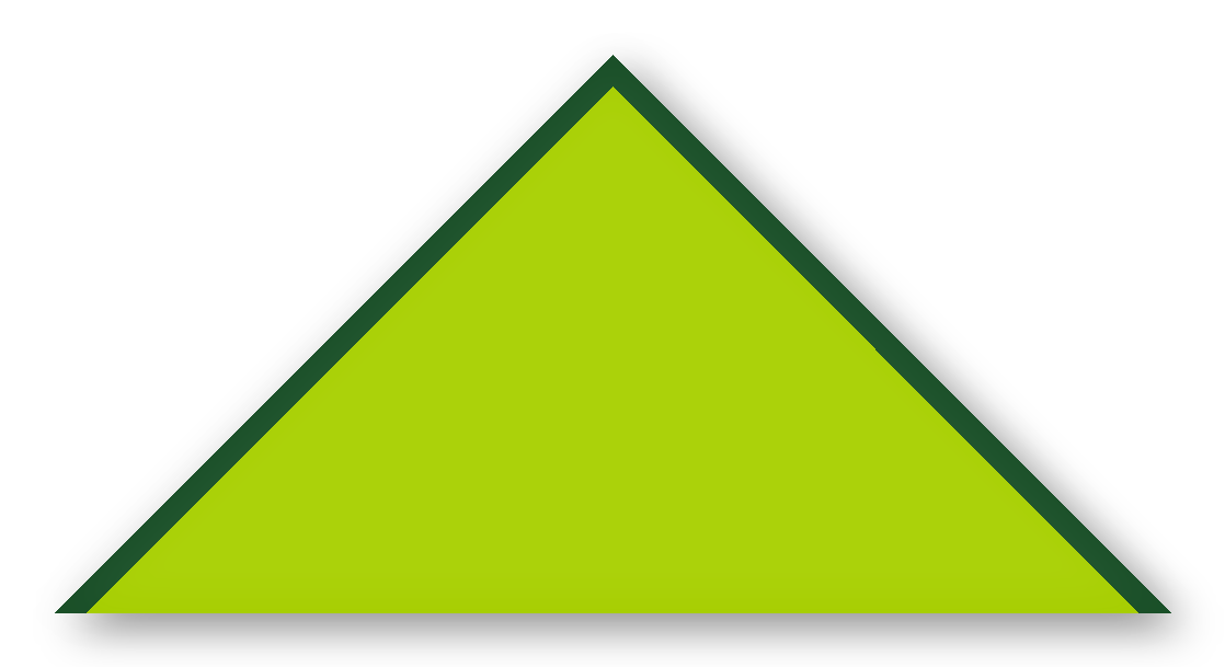 Foulard scout Anis CC33 Biais Vert Sapin
