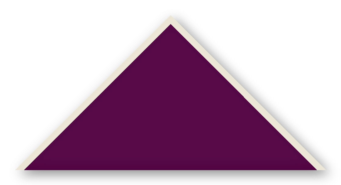Foulard scout Aubergine Biais Ecru