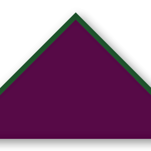 Foulard scout Aubergine Biais Vert Sapin