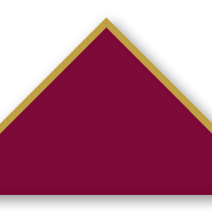 Foulard scout Bordeaux CC17 Biais Dore