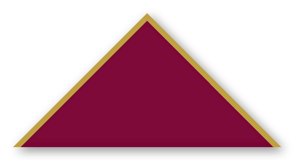 Foulard scout Bordeaux CC17 Biais Dore