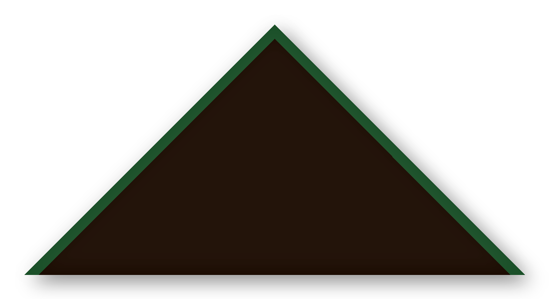 Foulard scout Chocolat Biais Vert Sapin