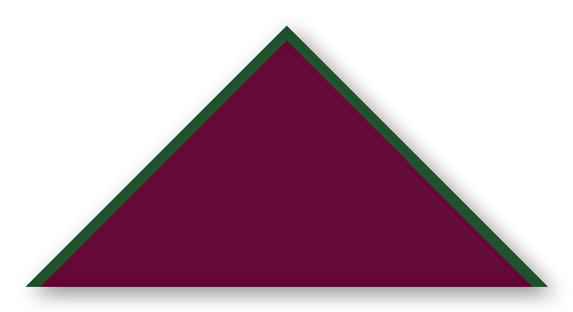 Foulard scout Lie de Vin CC16 Biais Vert Sapin