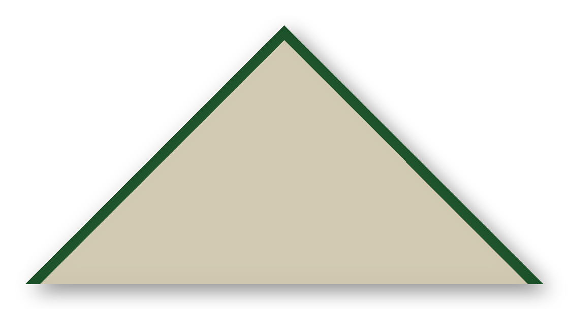 Foulard scout Naturel Chine CC38 Biais Vert Sapin