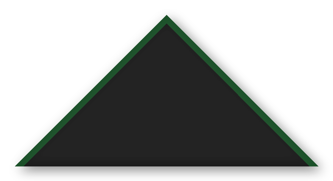 Foulard scout Noir CC01 Biais Vert Sapin