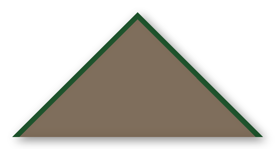 Foulard scout Noix Biais Vert Sapin