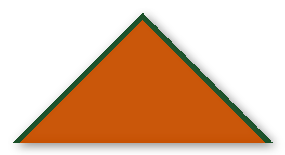 Foulard scout Ocre Biais Vert Sapin