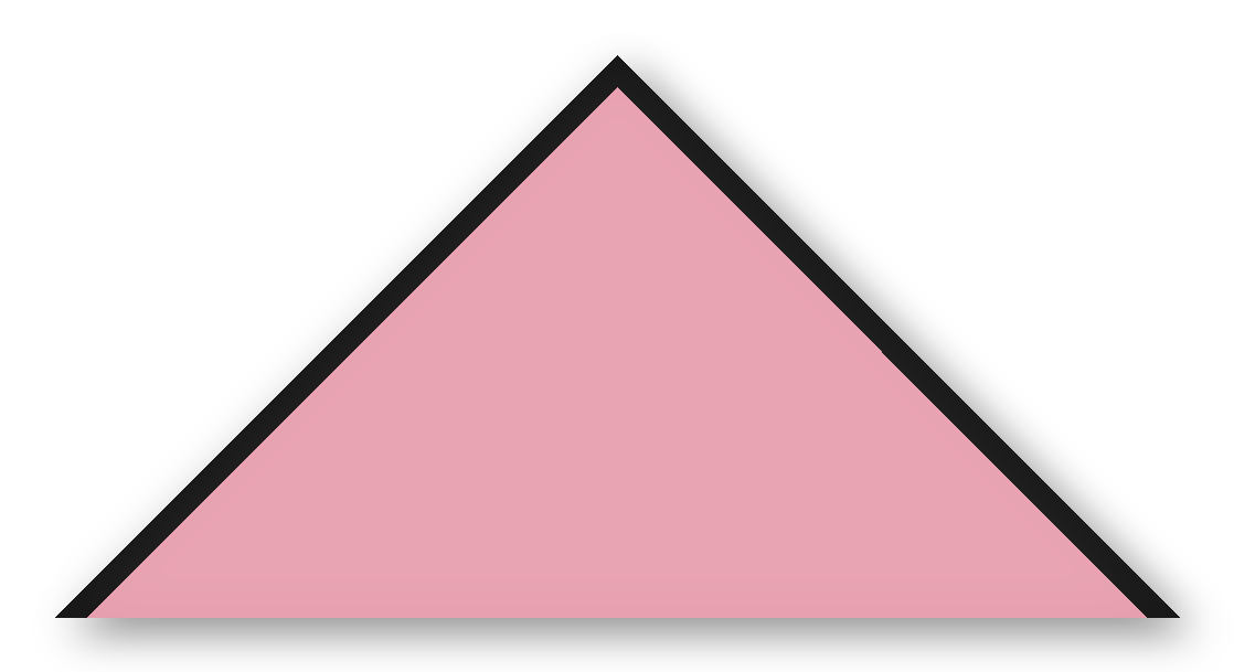 Foulard scout Rose CC42 Biais Noir