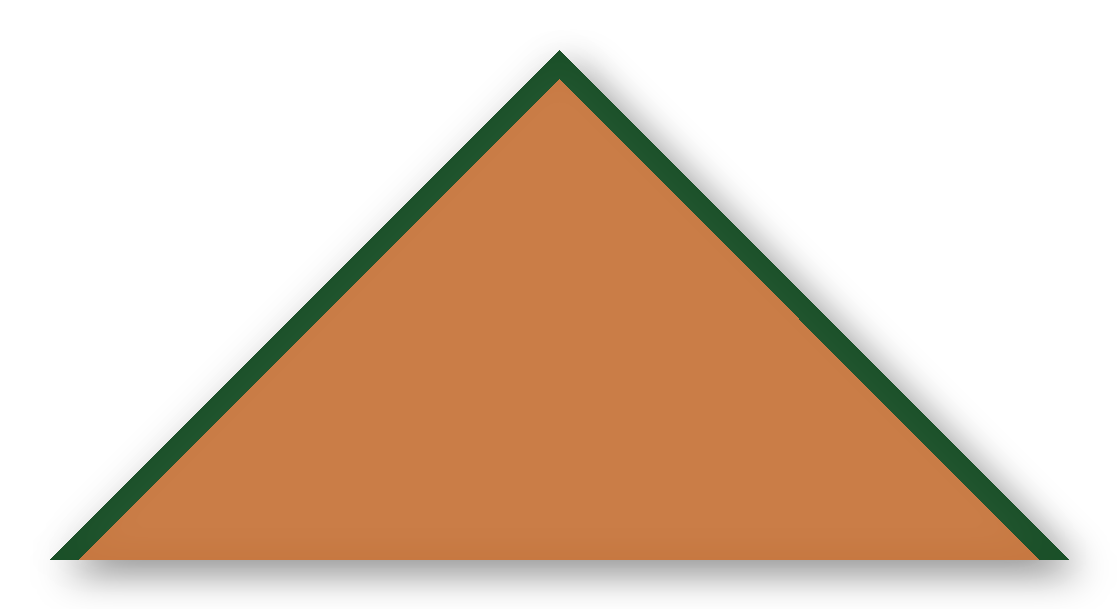 Foulard scout Rouille CC23 Biais Vert Sapin