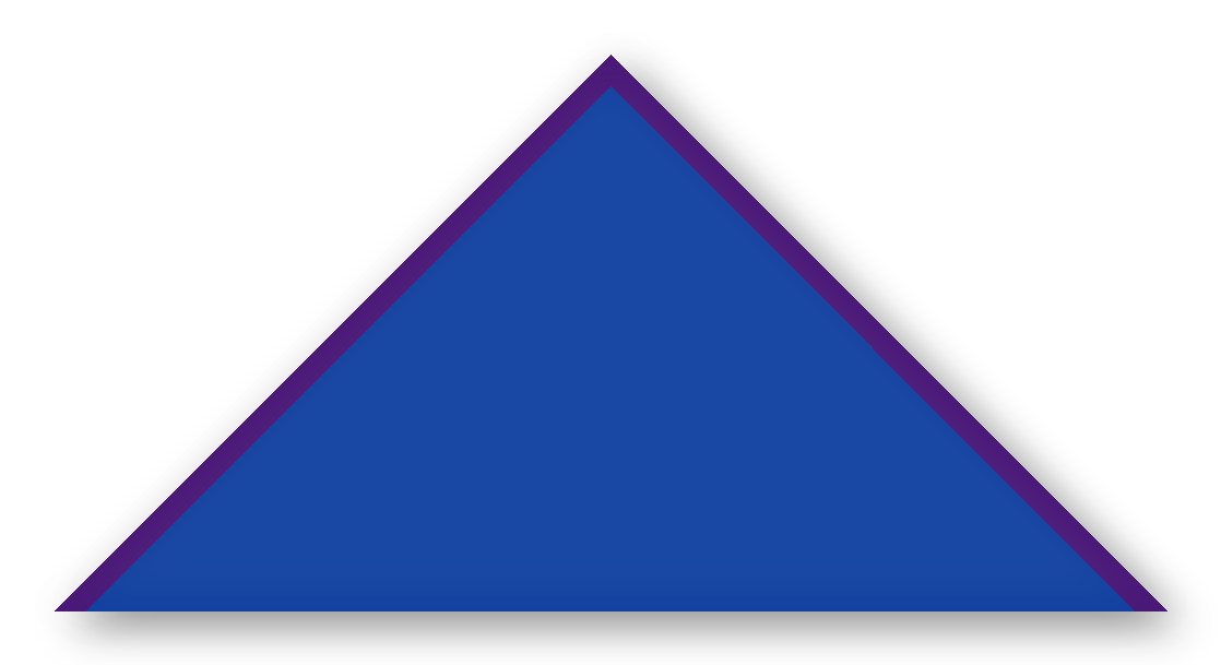 Foulard scout Royal CC10 Biais Violet