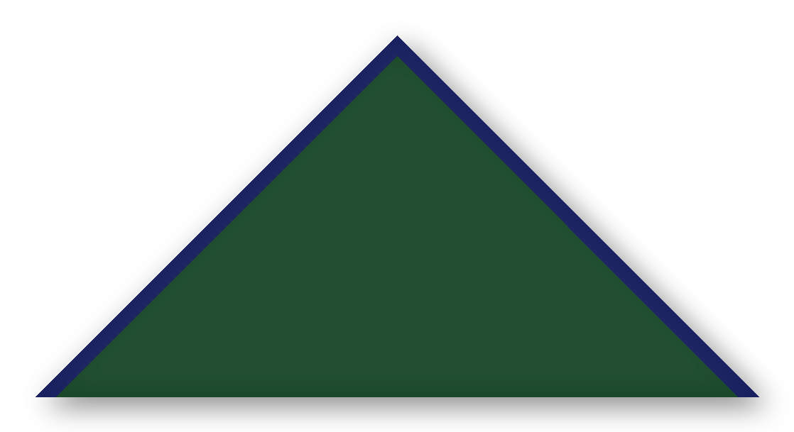 Foulard scout Sapin CC29 Biais Bleu Nuit