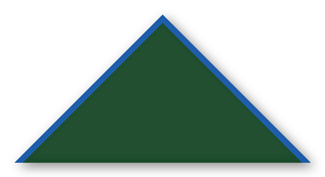Foulard scout Sapin CC29 Biais Bleu Roi