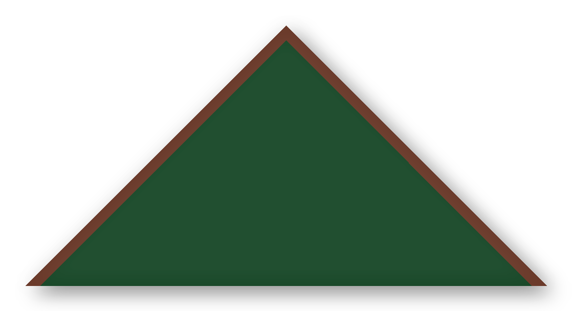 Foulard scout Sapin CC29 Biais Marron