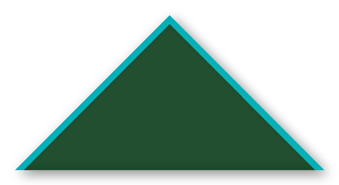 Foulard scout Sapin CC29 Biais Turquoise