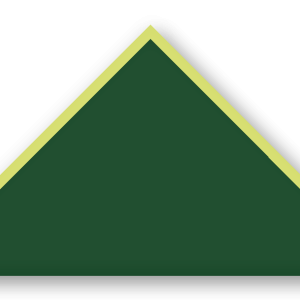 Foulard scout Sapin CC29 Biais Vert Tilleul