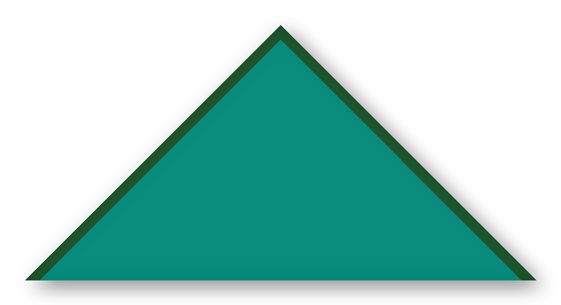 Foulard scout Vert Canard CC13 Biais Vert Sapin