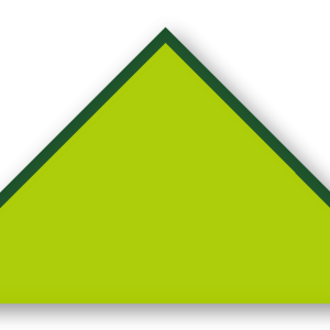 Foulard scout Vert Spring Biais Vert Sapin