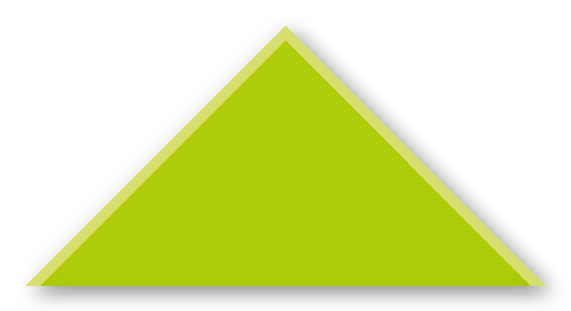 Foulard scout Vert Spring Biais Vert Tilleul
