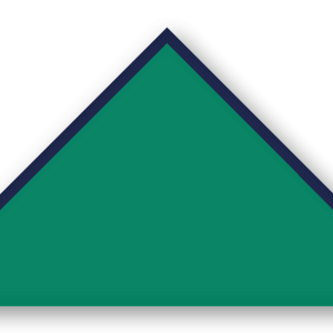 Foulard scout Vert Biais Bleu Marine