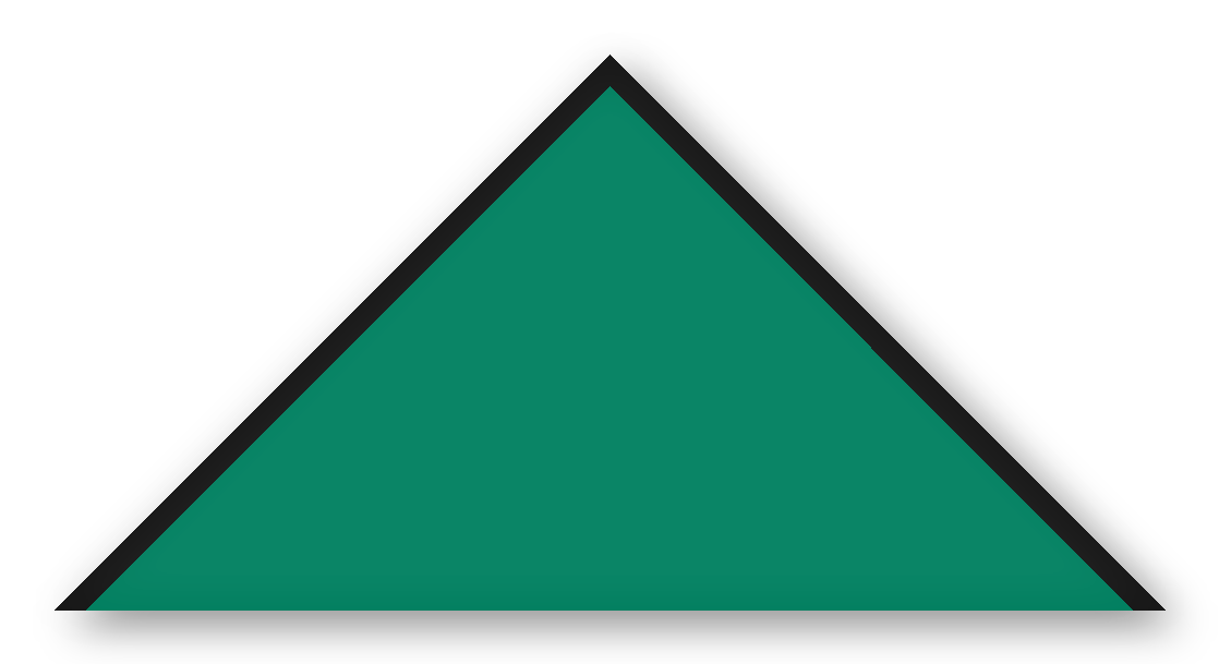 Foulard scout Vert Biais Noir