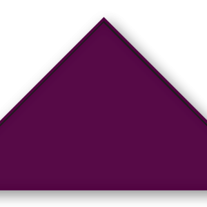 Foulard scout Aubergine Soutache Noir