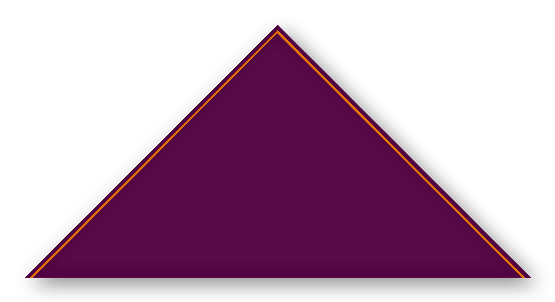 Foulard scout Aubergine Soutache Tangerine