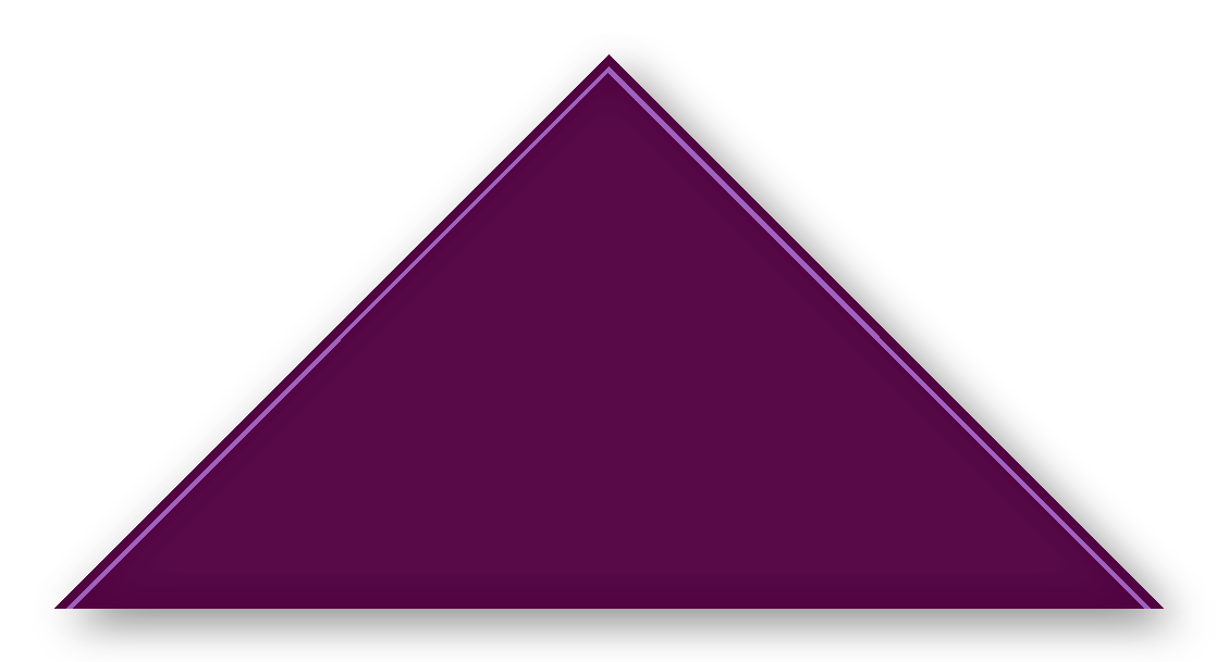 Foulard scout Aubergine Soutache Violet