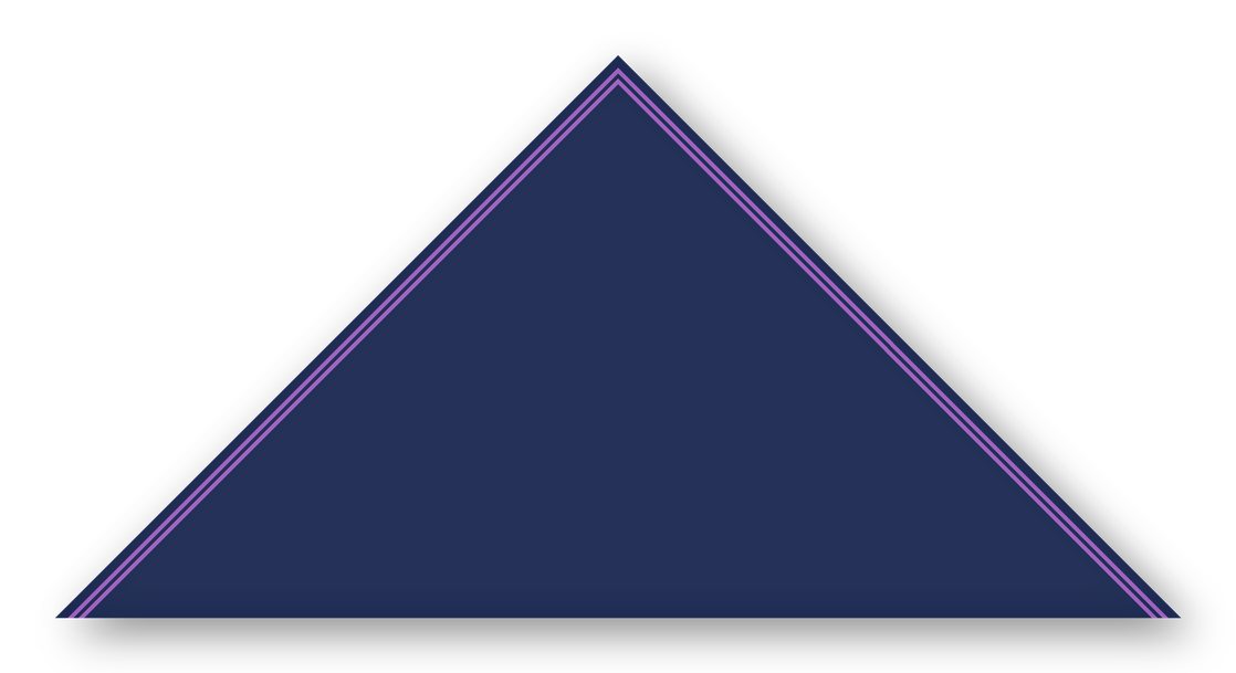 Foulard scout Bleu Marine Double soutache Violet
