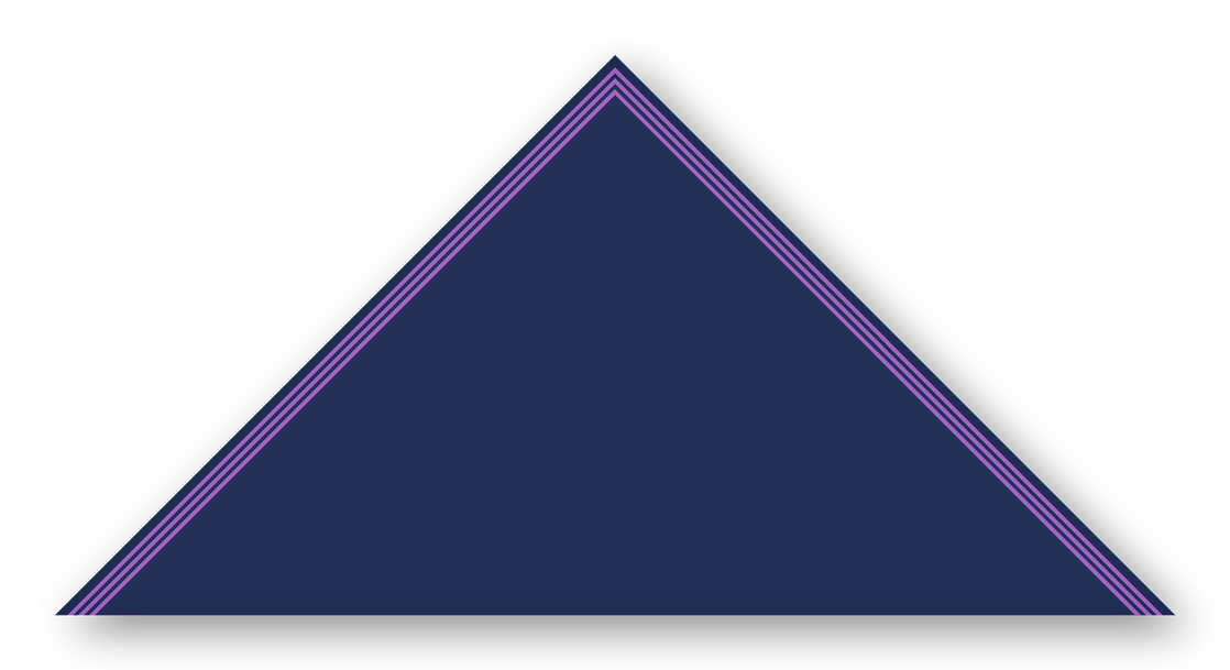 Foulard scout Bleu Marine Triple soutache Violet