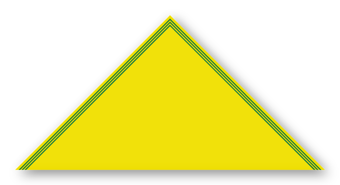 Foulard scout Jaune CC28 Triple soutache Vert Profond